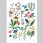 Floral 'Summer Plant' A3 Print, thumbnail 2 of 2