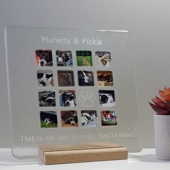 Personalised Pet Glass Photograph Display Frame, 2 of 2