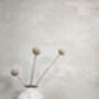 Set Of Three Monochrome Single Stem Mini Bud Vases, thumbnail 4 of 12