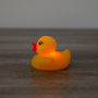 Colour Changing Light Up Mood Bath Duck, thumbnail 2 of 9