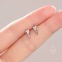 Sterling Silver Bird Skull Screw Back Earrings, thumbnail 6 of 12