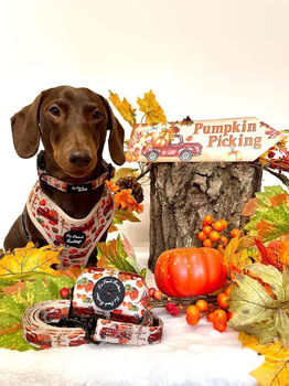 Pumpkin Patch Cart Dog Collar, 3 of 8