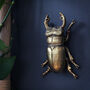 Male Stag Beetle Wall Ornament, thumbnail 1 of 2