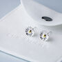 Sterling Silver Simple Daisy Stud Earrings, thumbnail 4 of 5