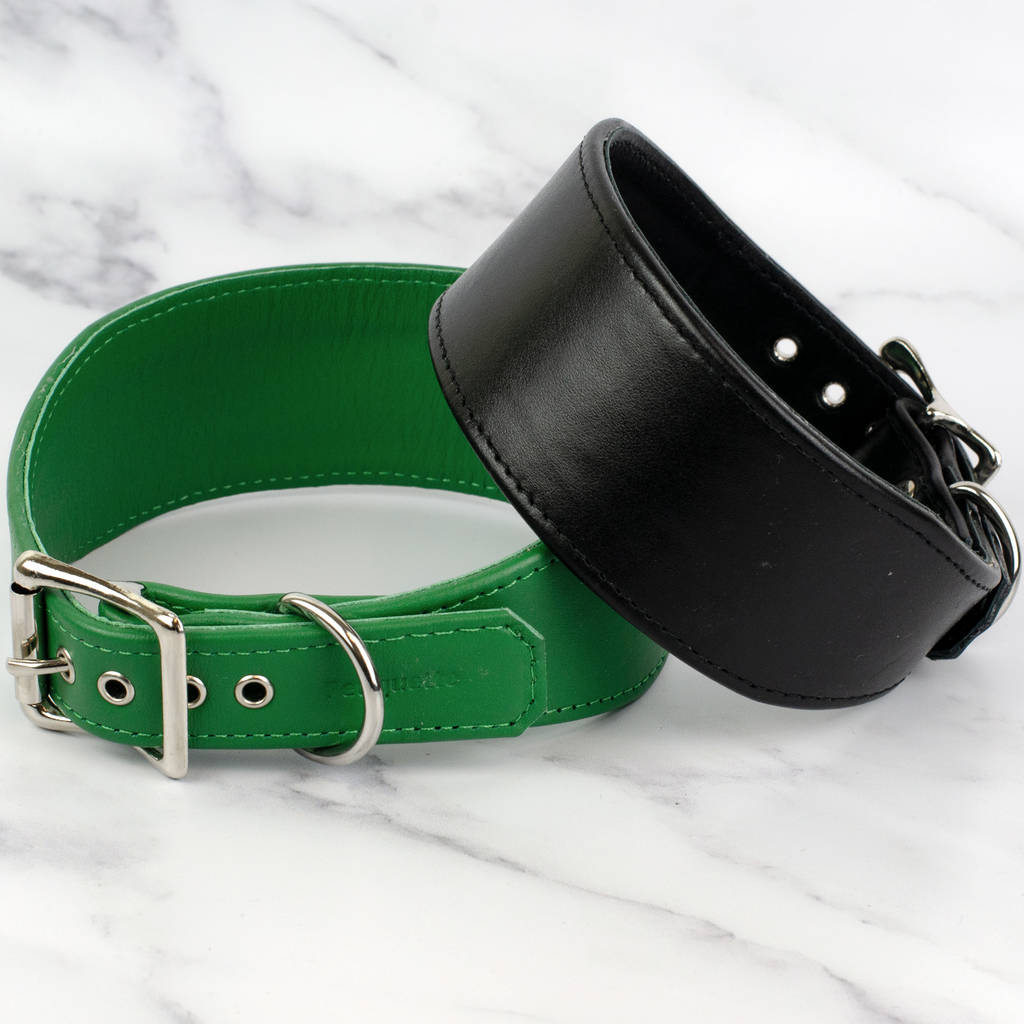 Handmade Leather Greyhound Collar By Petiquette Collars