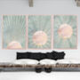 Custom Colour Set Of Three Bohemian Boho Suns Wall Art Prints, thumbnail 7 of 9