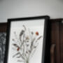 Whisper Stem Original Pressed Flower Art In A3 Black Frame, thumbnail 3 of 7