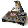 Cat Scratch Dj Deck, thumbnail 2 of 5