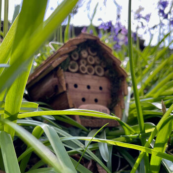Beneficial Busy Bee And Insect House, 4 of 7