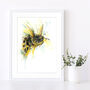 Buzzy Bee Fine Art Giclee Watercolour Print, thumbnail 1 of 3