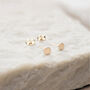 Mini 18ct Yellow Gold Plated Disc Stud Earrings, thumbnail 3 of 7