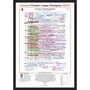 Liverpool 2025 League Champions Commentary Sheet, thumbnail 1 of 3