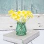 Faux Daffodils In Glass Vase, thumbnail 7 of 10