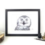 Snowy Owl Pen And Ink Illustration Framed Print, thumbnail 1 of 3