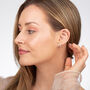 Sterling Silver Hummingbird Stud Earrings, thumbnail 6 of 7