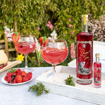 Berry Yan Gin 70cl 40% Abv, 3 of 6