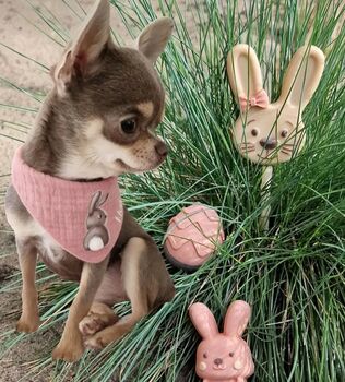 Easter Dog Treats Doggy Chocolate, Biscuits, And Chews, 8 of 11