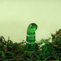 Artisan Green Glass Worm In Gift Box, thumbnail 1 of 4