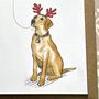 Labrador Christmas Card, thumbnail 4 of 9
