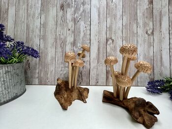 Assorted Wooden Mushroom Forest On Teak Root Wood, 5 of 12