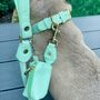 Handmade Italian Leather Dog Waste Bag In Mint Green, thumbnail 6 of 6