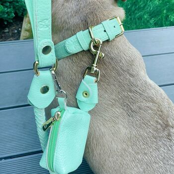 Handmade Italian Leather Dog Waste Bag In Mint Green, 6 of 6