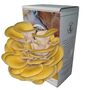 Ready To Grow Oyster Mushroom Growing Kit, thumbnail 5 of 9