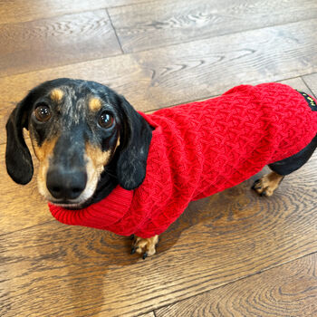 Red Miniature Dachshund Knitted Jumper, 5 of 7