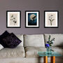 Cow Parsnip, Vintage Collection Print, thumbnail 7 of 7