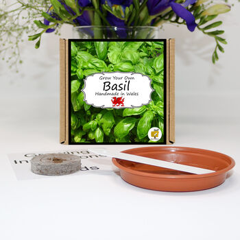 Herb Garden Basil Growing Kit. Gardening Gift, 2 of 5