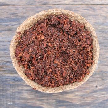 Grow Your Own Wild Bergamot Herbal Tea, 4 of 6