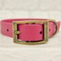 Waterproof Dog Collar And Lead Set Burgundy Ab, thumbnail 2 of 3