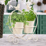 Love Heart Double Herb Planters, thumbnail 3 of 9