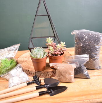 Black Pyramid Terrarium Kit With Succulent Or Cactus, 8 of 12