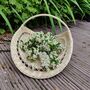 Rattan Wicker Flower Gathering Basket, thumbnail 12 of 12
