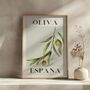 Spanish Olive Art Print Poster, Spain, Fruit, Hand Drawn, thumbnail 2 of 3