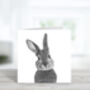 Bellatrix The Bunny Luxury Blank Greeting Card, thumbnail 2 of 3