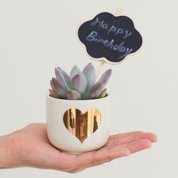 Gold Heart Mini Planter With A Succulent Or Cacti, 2 of 7