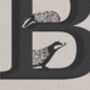 B Is For Badger, Alphabet Card, thumbnail 3 of 4
