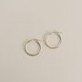 Rae | Gold Fill Or Sterling Silver Hinged Hoop Earrings, thumbnail 1 of 12