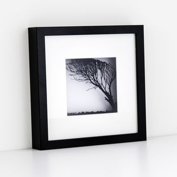 Framed Papercut Windswept Tree Art, 3 of 8