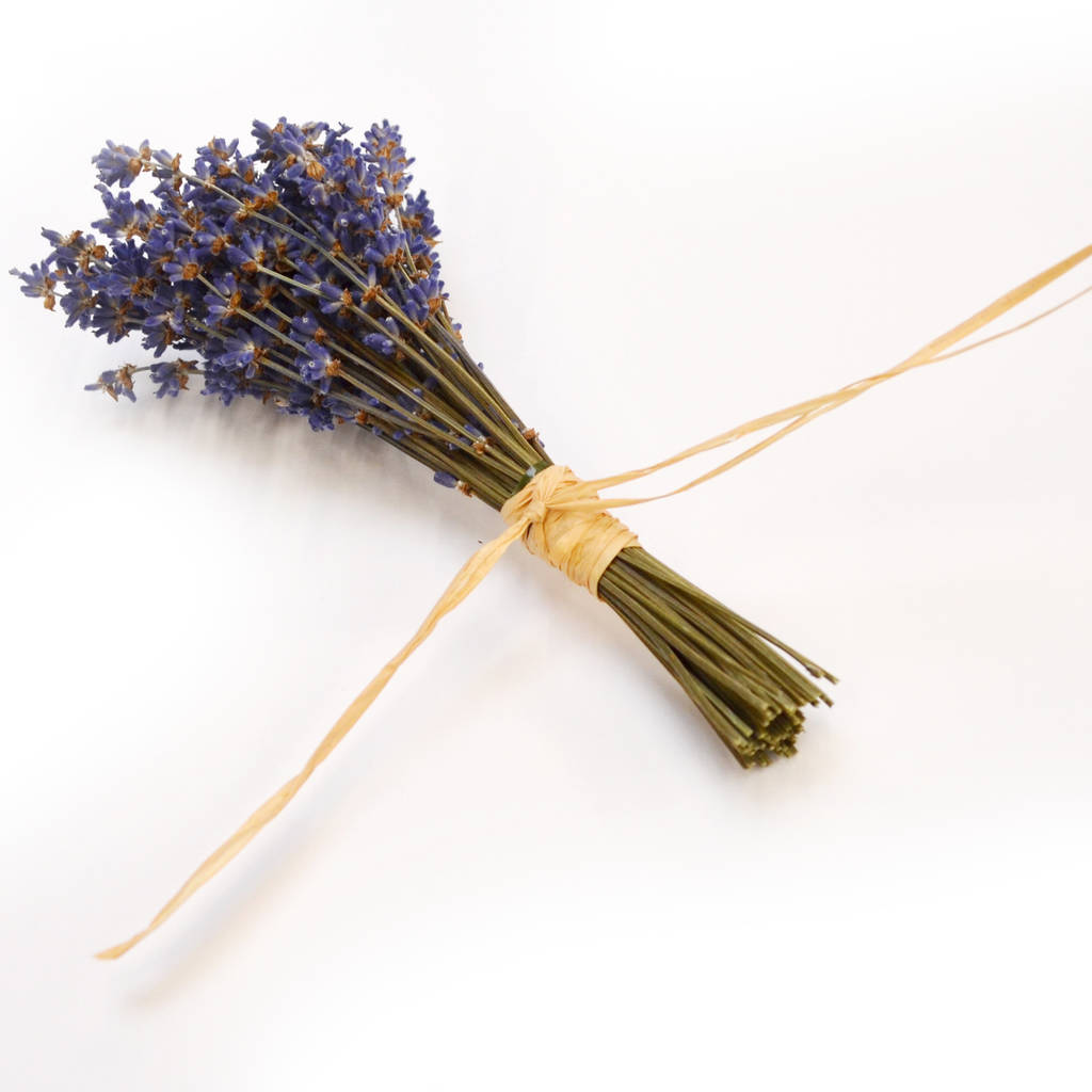 10 Mini Lavender Bundle By Shropshire Petals | Notonthehighstreet.com