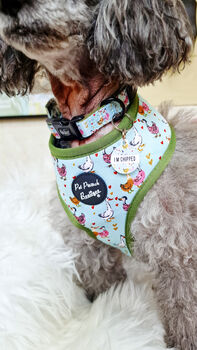Countryside Ducks Dog Collar With Optional Set, 8 of 10