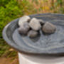 Shark Sandstone Pebbles, thumbnail 2 of 4