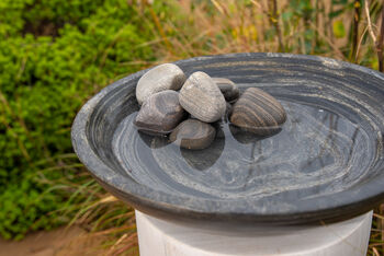 Shark Sandstone Pebbles, 2 of 4
