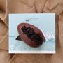 Rum And Raisin Evening Star Egg With Two Chocolate Bars, thumbnail 5 of 11
