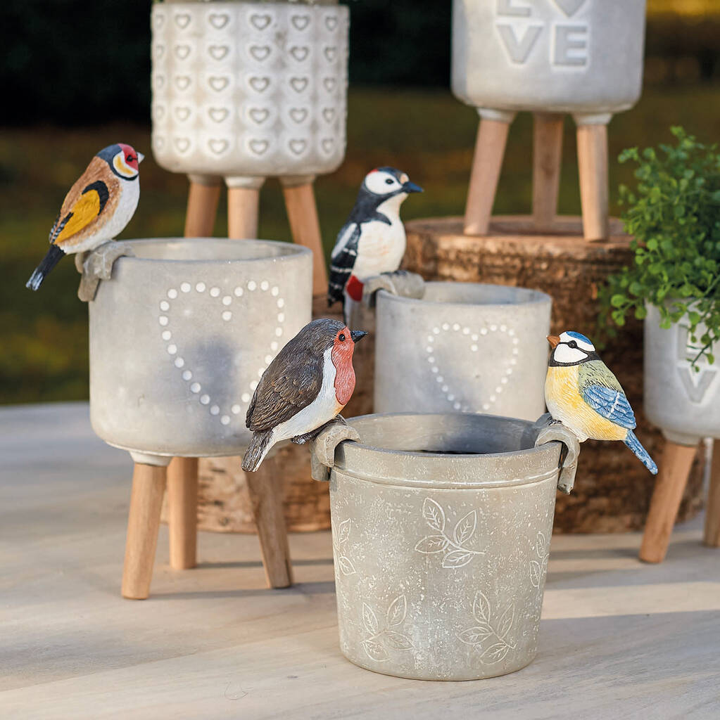 Goldfinch Pothanger And Planter Gift Set By Ella James