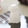 Rose Quartz / Clear Quartz Dog Carved Gemstone, thumbnail 5 of 7