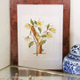 Y Is For Ylang Ylang Illuminated Floral Letter, thumbnail 4 of 6