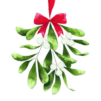 Mistletoe Christmas Card, 3 of 3